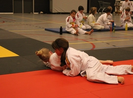 IMG_4524.webp