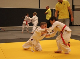 IMG_4528.webp