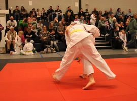 IMG_4567.webp
