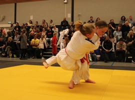 IMG_4734.webp