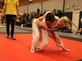 IMG_4747.webp