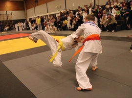 IMG_4764.webp
