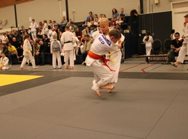 IMG_4771.webp