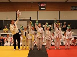IMG_4780.webp