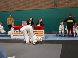 IMG_4916.JPG