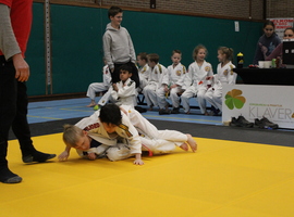 IMG_4919.JPG