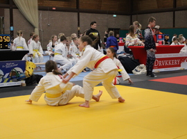 IMG_4923.JPG