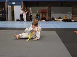 IMG_4927.JPG