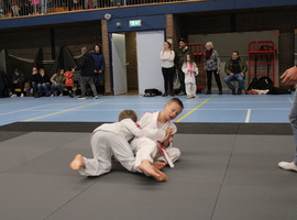 IMG_4929.JPG