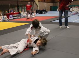IMG_4943.JPG