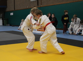 IMG_4997.JPG