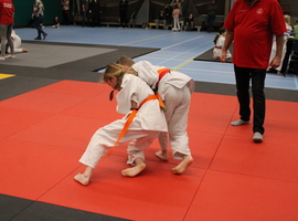 IMG_5117.JPG