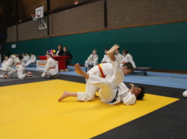 IMG_5134.JPG