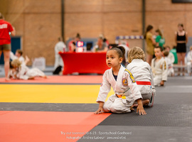 tryout-judo-geelhoed-zeeuwslief-11.jpg