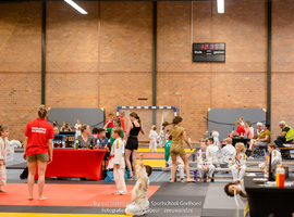 tryout-judo-geelhoed-zeeuwslief-35.jpg